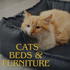 Pet Supplies Cats Beds & Furniture