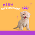 Pet Supplies Cats Grooming