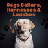 Pet Supplies Dogs Collars, Harnesses & Leashes